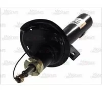 Амортизатор Magnum Technology AGP031MT, газомасляный